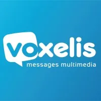 Voici le logo de la marque VOXELIS (C E M E) qui représente son identité graphique.