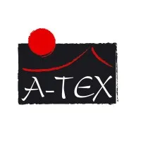 A TEX logo