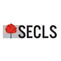 SOC EXPERTISE COMPTABLE LECOMTE SAUVIAT (SECLS) logo