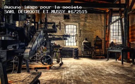 DEGROOTE ET MUSSY logo