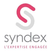 Voici le logo de la marque SYNDEX qui représente son identité graphique.