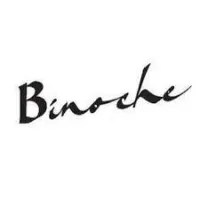 BINOCHE DESIGN (MONDIAL KIT) logo