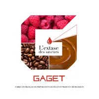 GAGET logo