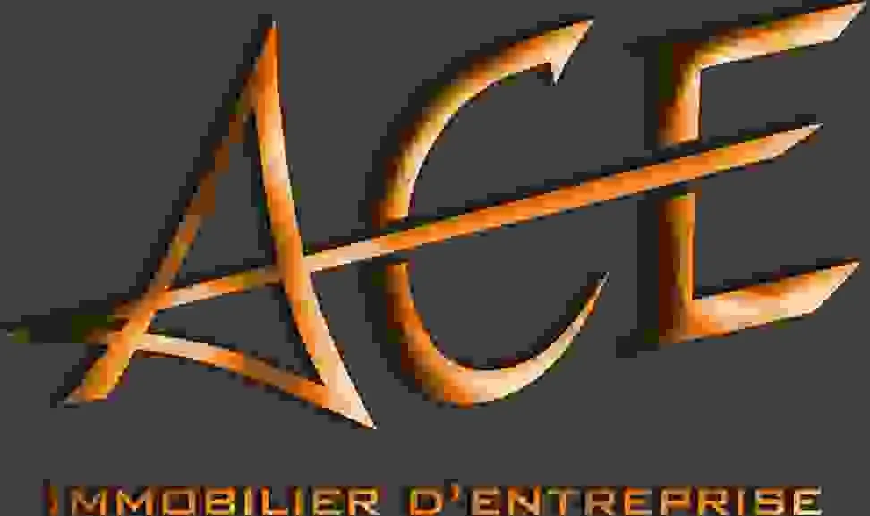 ACE TRANSACTIONS logo