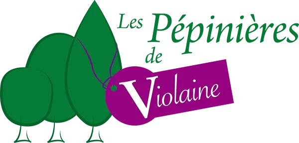 LES PEPINIERES DE VIOLAINE logo