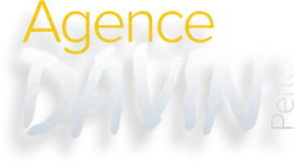 DAVIN IMMOBILIER logo