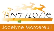 ANTILOPE logo