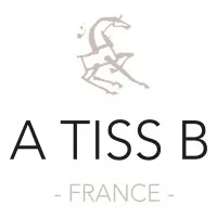 A TISS' B logo