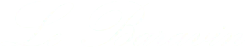 BARAVIN logo