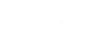 DAOUD STANISLAS logo
