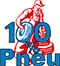 ANDELLE PNEUS logo
