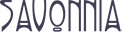 MORE THAN SOAP logo