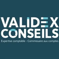 BRUEL VALIDEX logo