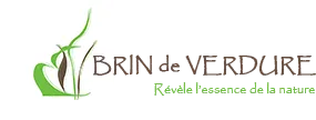 BRIN DE VERDURE logo