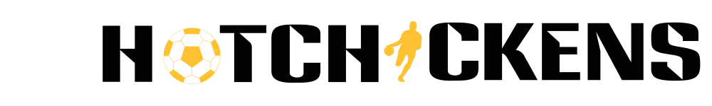 HOT CHICKENS logo