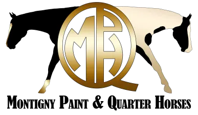 EARL FERME EQUESTRE DE MONTIGNY logo
