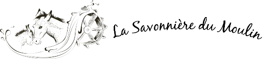 LA SAVONNIERE DU MOULIN logo