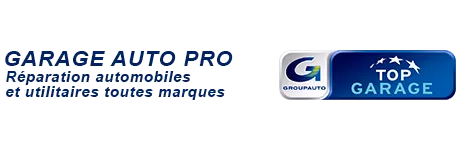 EURL PELTRET NICOLAS logo