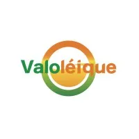VALOLEIQUE logo