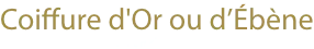 COIFFURE D'OR OU D'EBENE logo