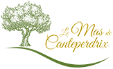 GIOVANNI logo