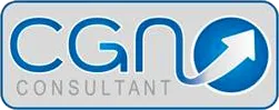 CGN CONSULTANT logo