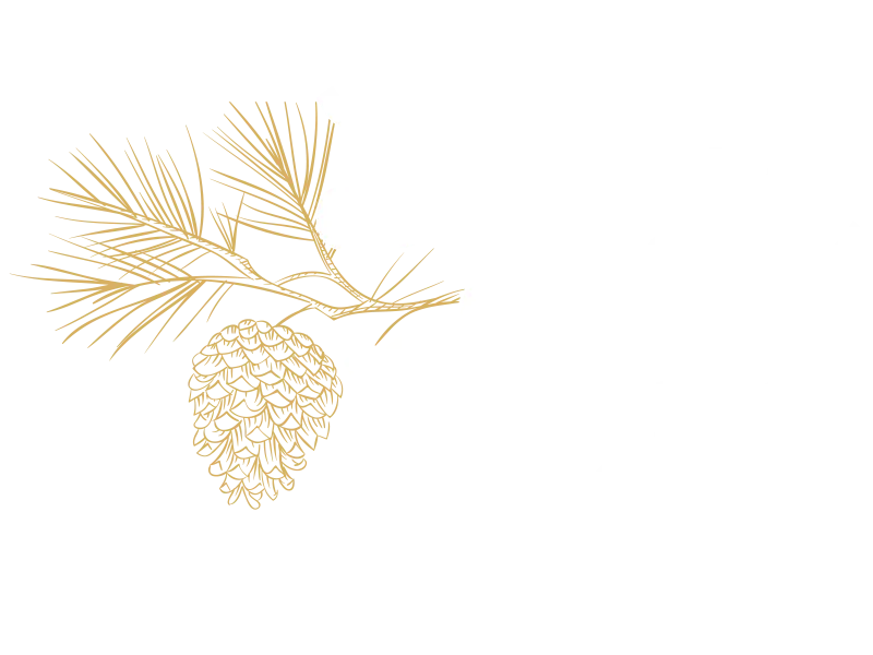 SANI logo