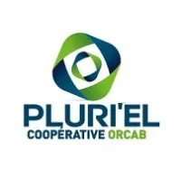 PLURI'EL logo