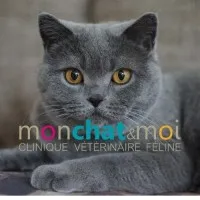 MCM NANTES logo