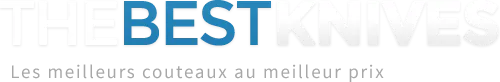 DIDIER VITON VPC logo