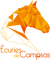 LES ECURIES DE CAMPSAS logo