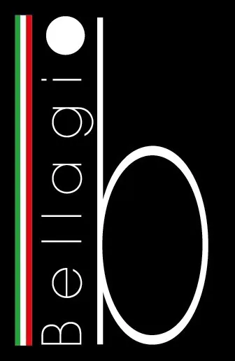 LE VISCONTI logo
