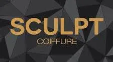 TRAVERSI (sculpt coiffure) logo