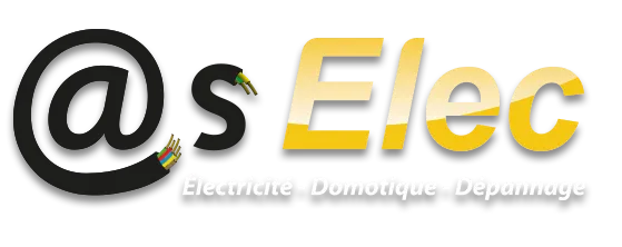 Voici le logo de la marque AS ELEC qui représente son identité graphique.