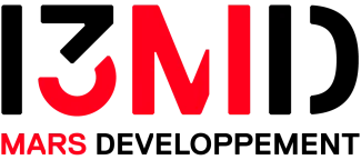 13MARS DEVELOPPEMENT logo
