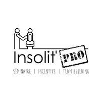 INSOLIT'PRO logo