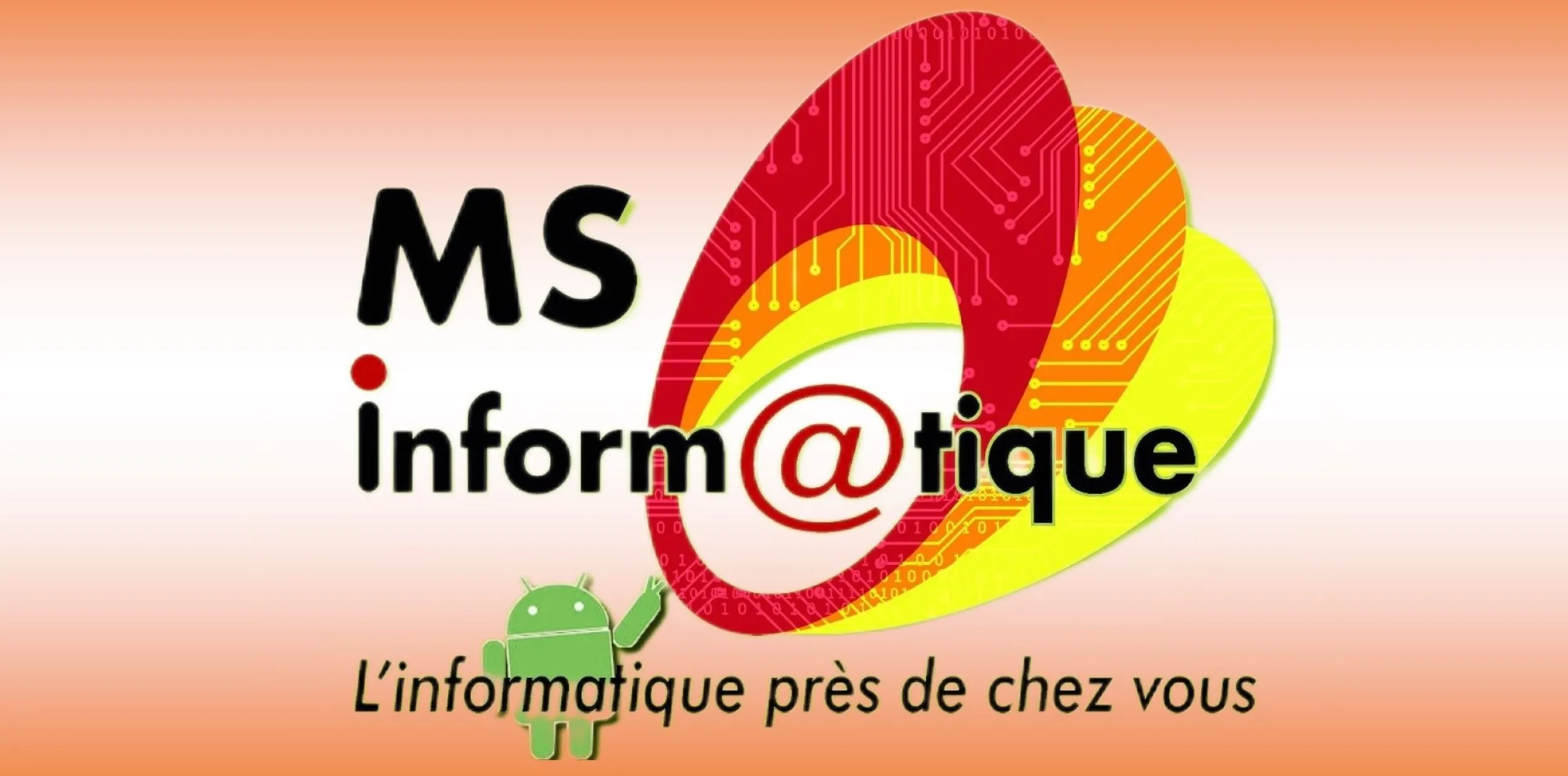 MS INFORMATIQUE logo