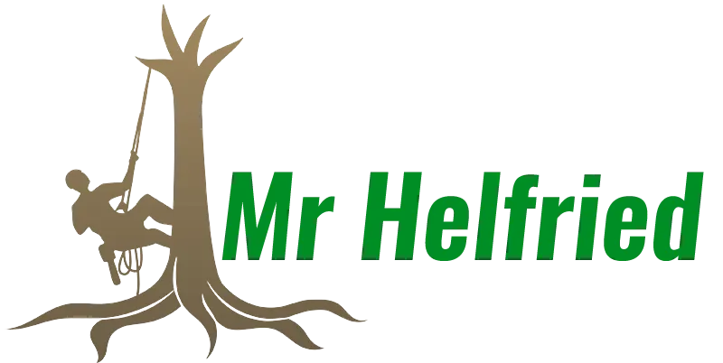 HELFRIED SONY logo