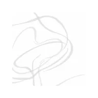 SYCOMORE CORPORATE FINANCE logo