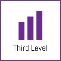 THIRD LEVEL logo