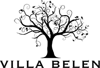 BELEN logo