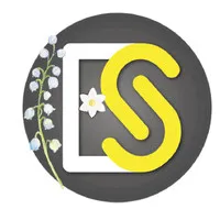 Voici le logo de la marque ASI SOLUTIONS FRANCE qui représente son identité graphique.