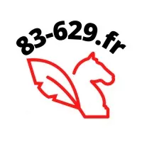 MINGEAU MICKAEL logo