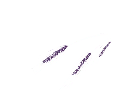 SARL L'AMIE DU PAIN logo