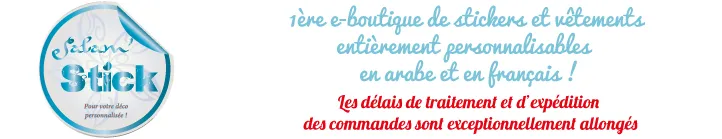 BOUCHEMLAL SAIDA logo