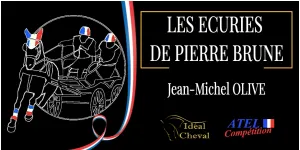 EARL LES ECURIES DE PIERRE BRUNE logo