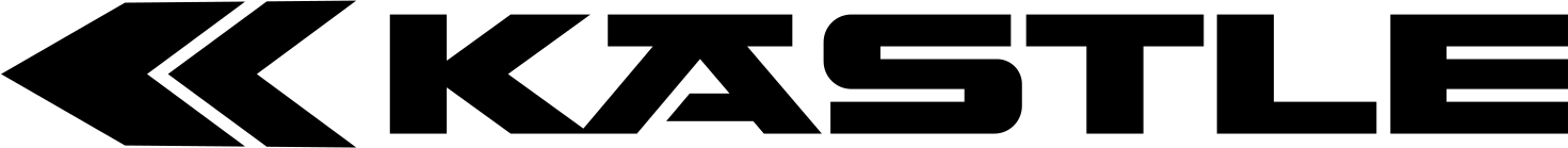 WHITE STORM logo