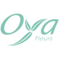 ZANZIFLEURS logo
