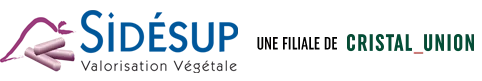 Voici le logo de la marque SIDESUP qui représente son identité graphique.