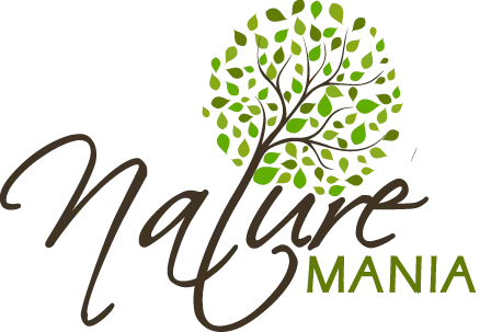 ROULIER GUY logo